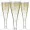 Edge Collections -Clear-Shatterproof Champagne Flutes for Celebrations-24 set